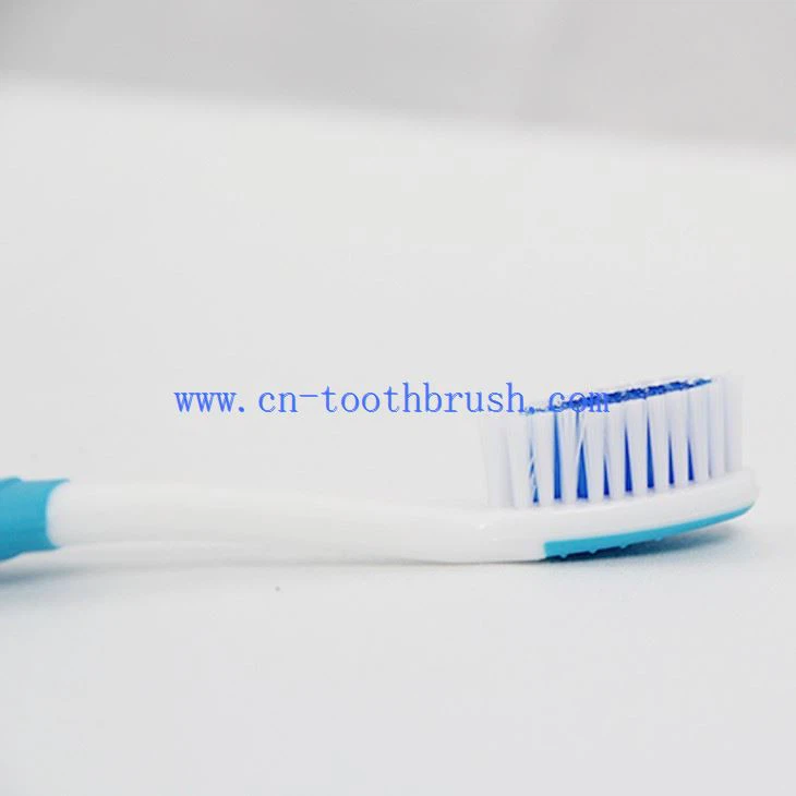 The Bristles Of Classic Adult Toothbrush With Light Handle